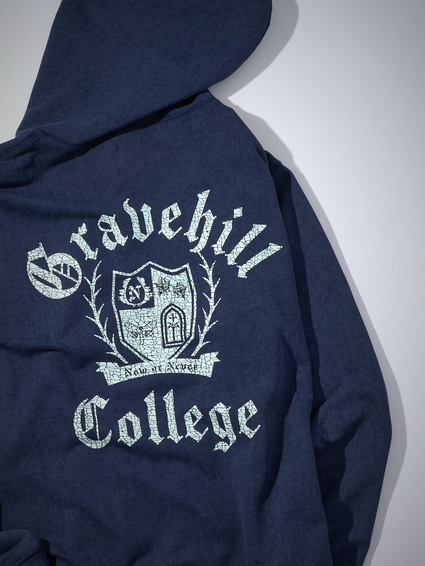 カレッジロゴジップフーディー[Navy]