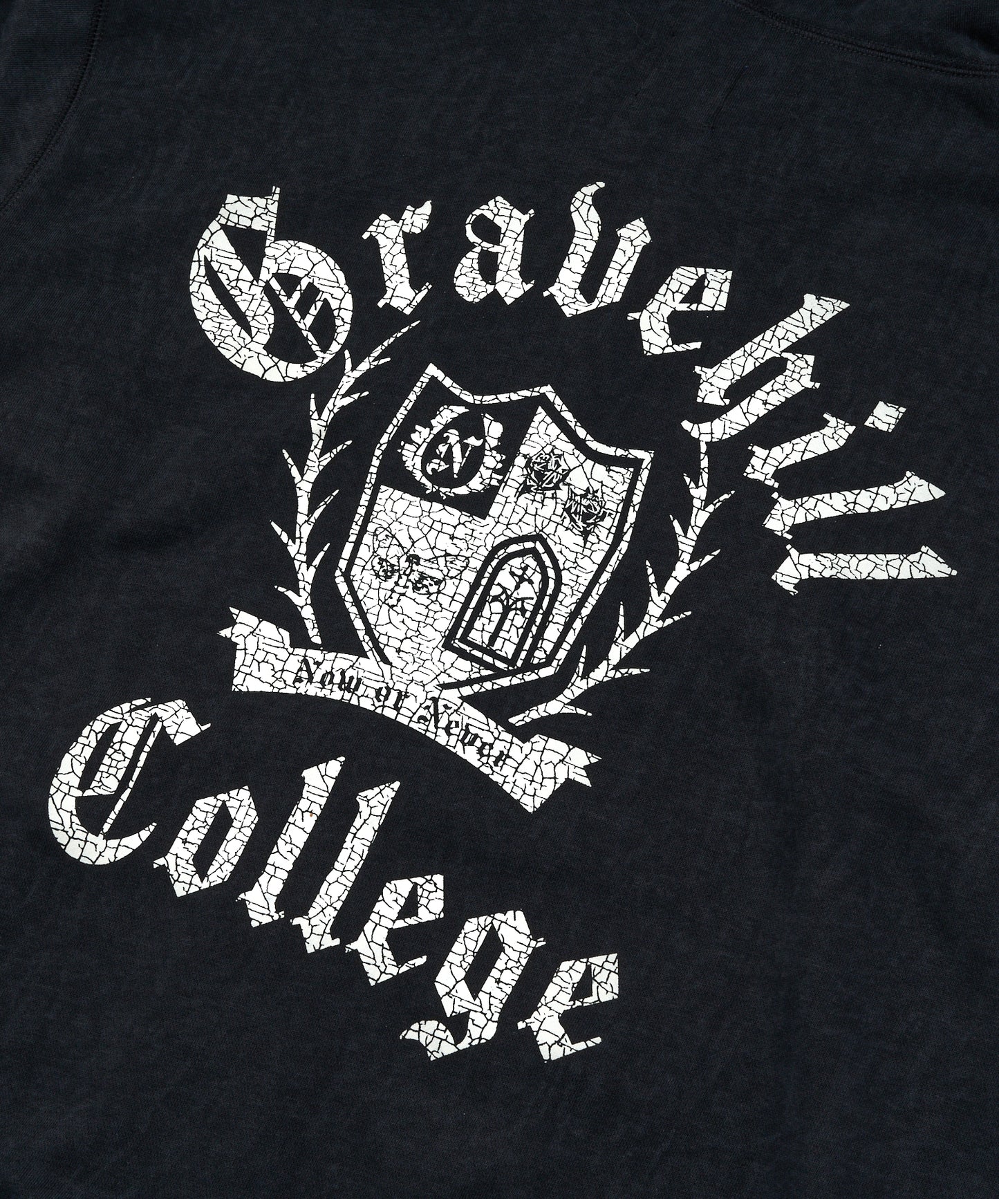 カレッジロゴジップフーディー[Black]