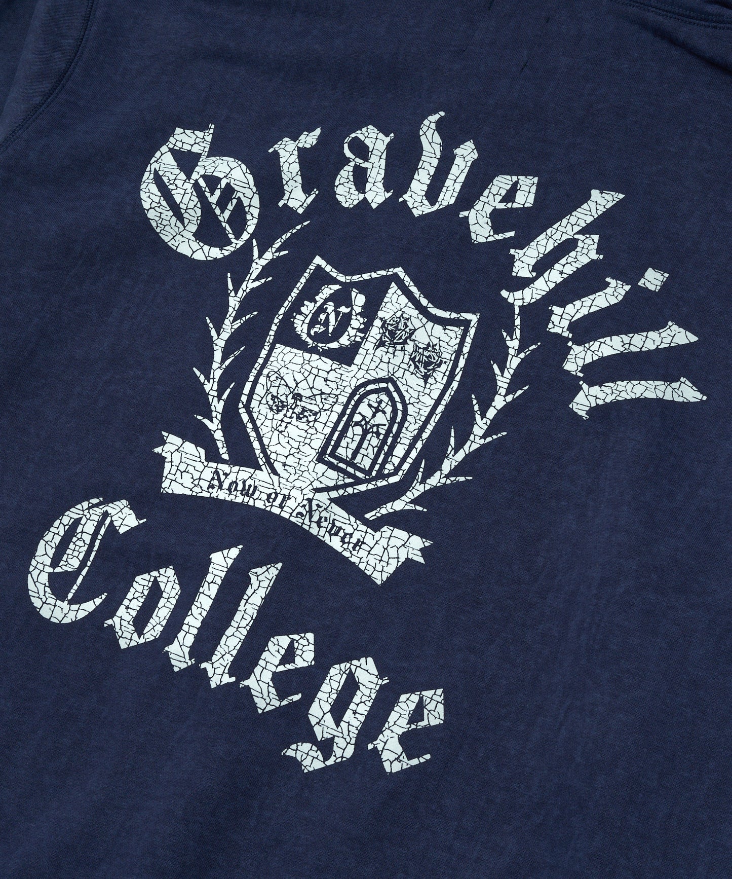 カレッジロゴジップフーディー[Navy]